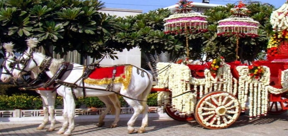 Marriage Baggi