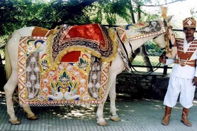 Ghori Wala